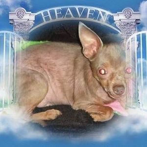 Meet your Posher, Margie